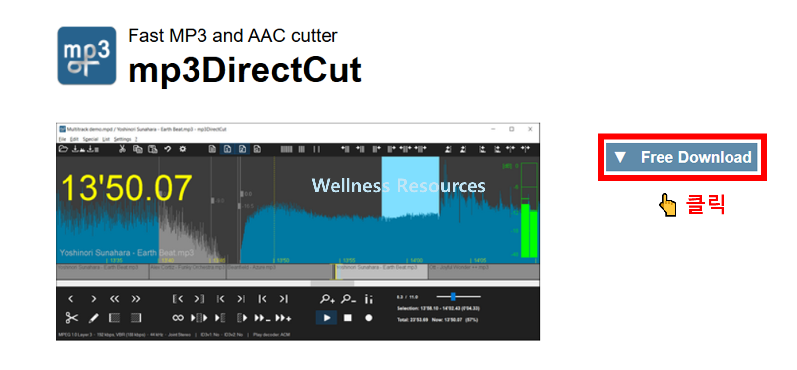 MP3 Direct Cut