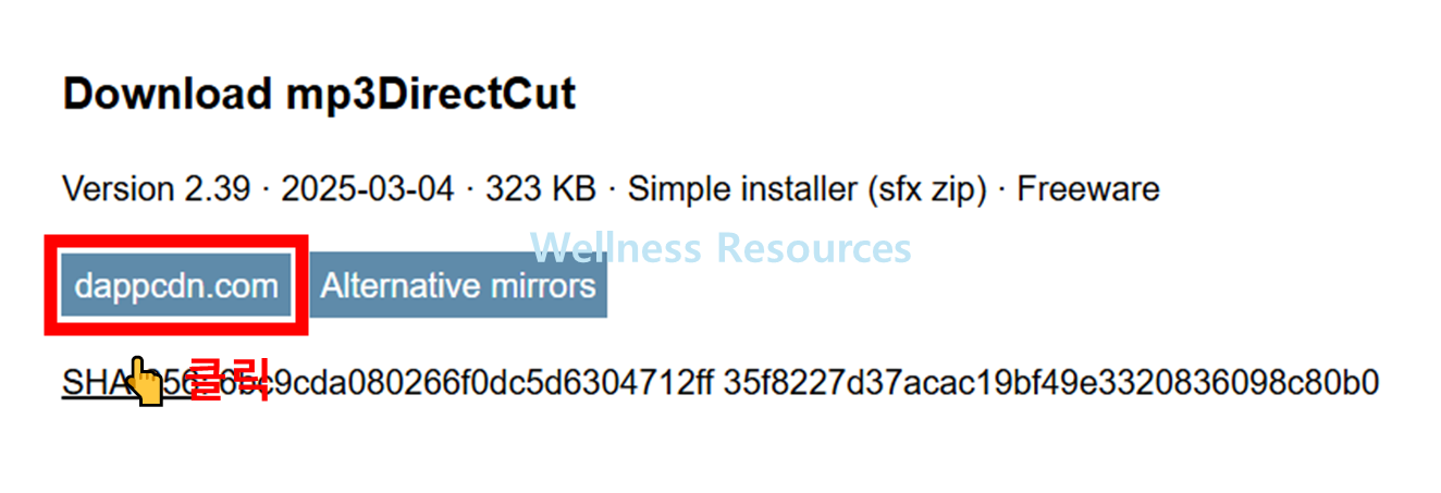MP3 Direct Cut
