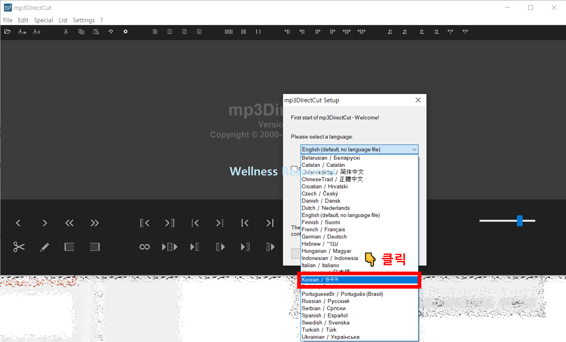 MP3 Direct Cut