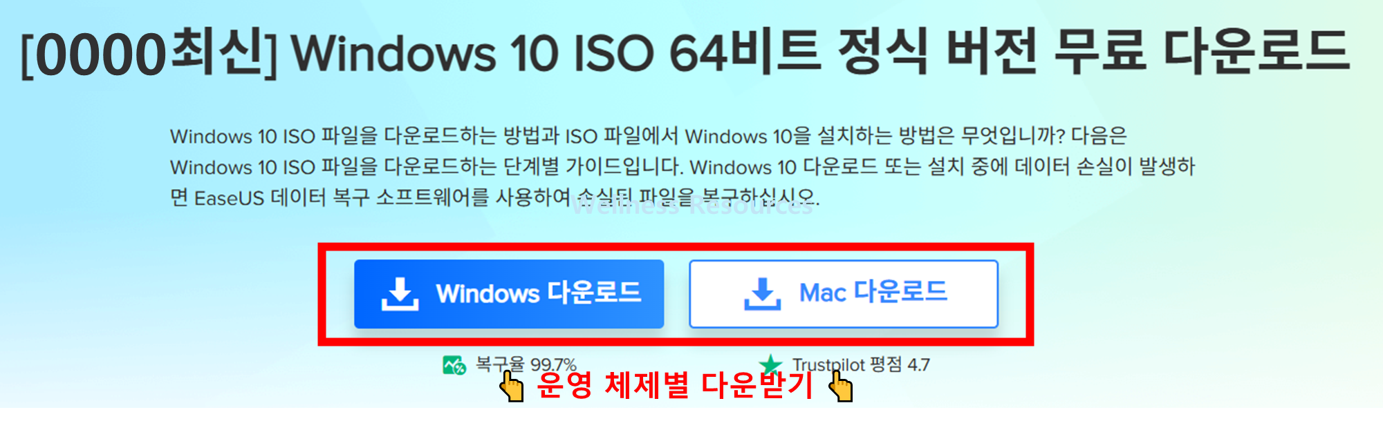 윈도우10