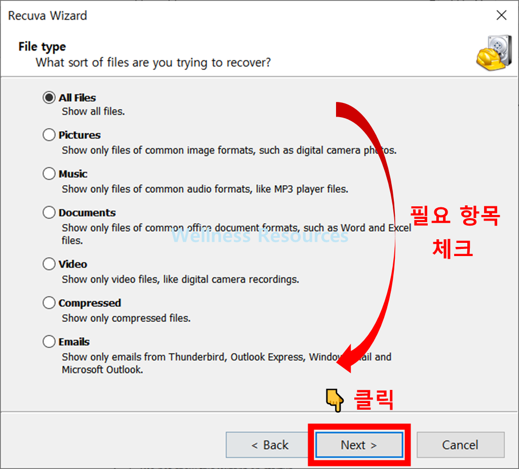 레쿠바
Recuva