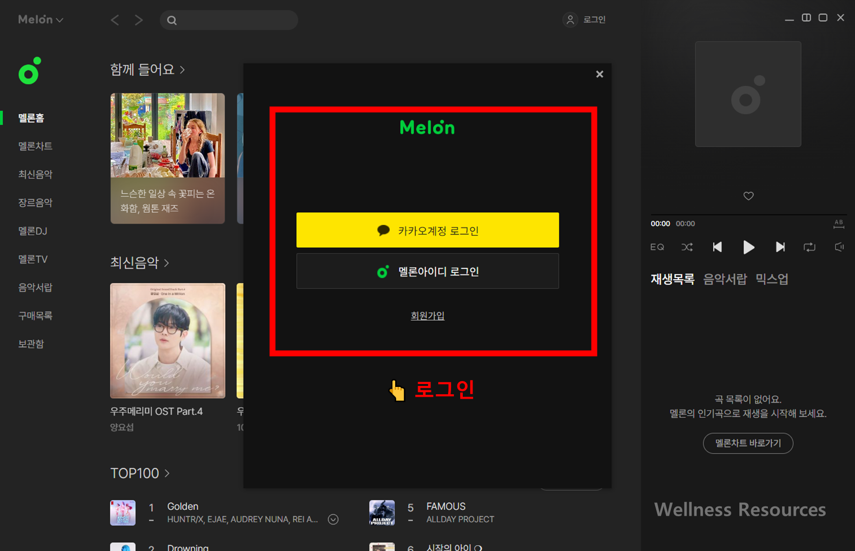 멜론 플레이어
