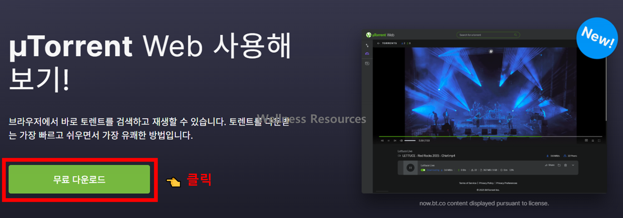 유토렌트 웹
