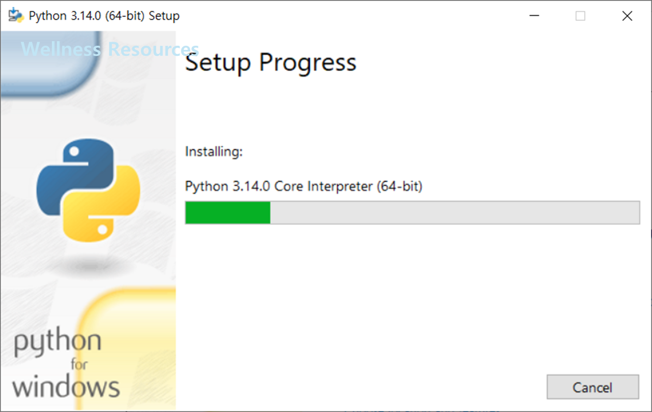 파이썬
Python