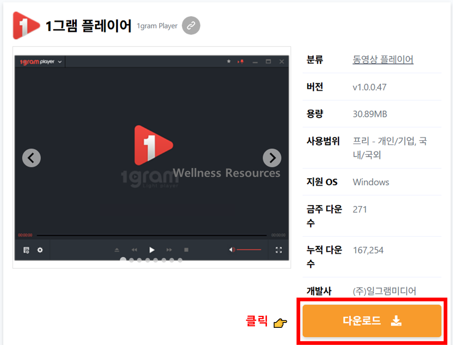 1그램 플레이어