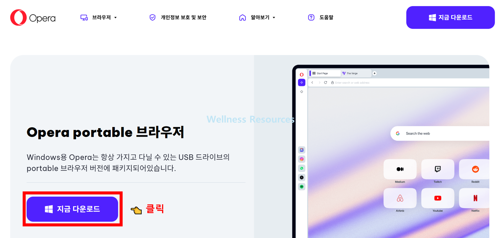 오페라 브라우저