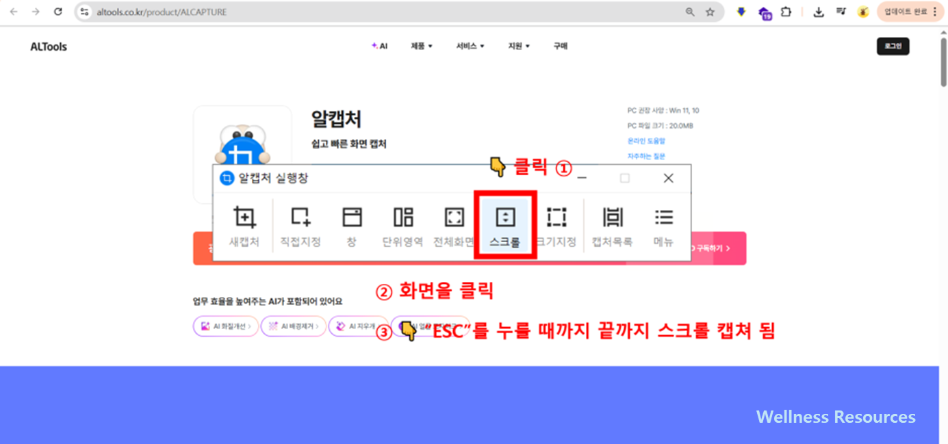 알캡쳐