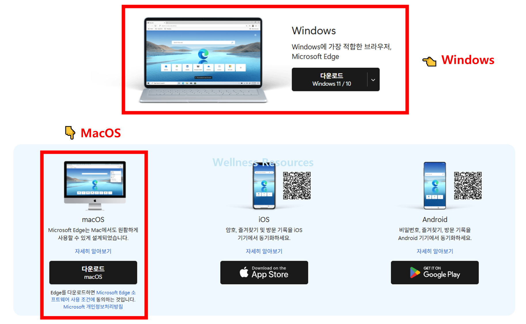 엣지 브라우저
Microsoft Edge