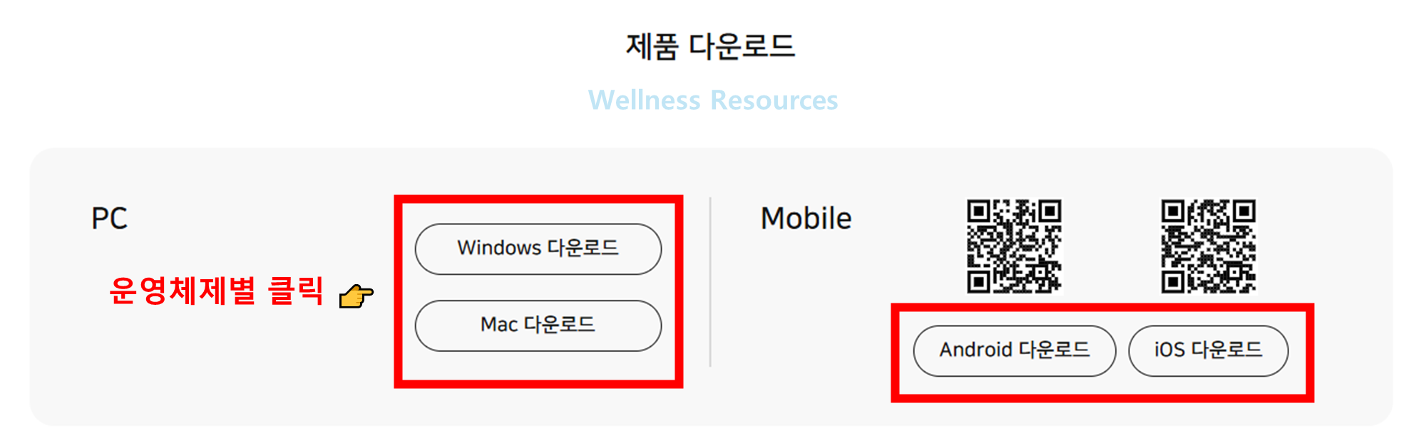 곰플레이어
곰플레이어 통합코덱
곰플레이어 플러스