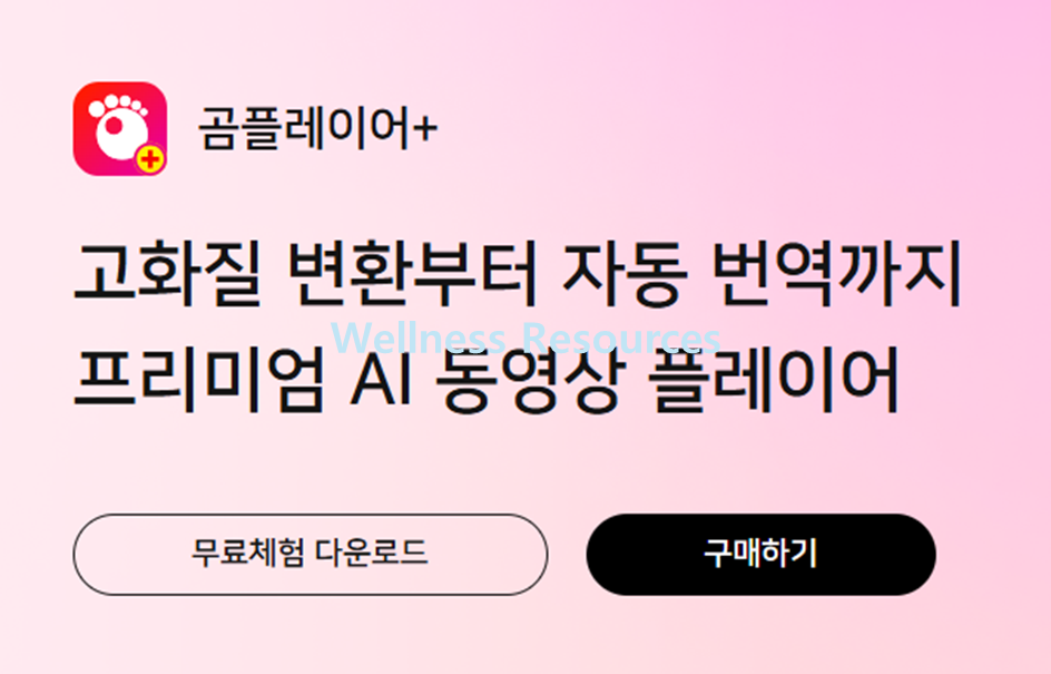 곰플레이어
곰플레이어 통합코덱
곰플레이어 플러스