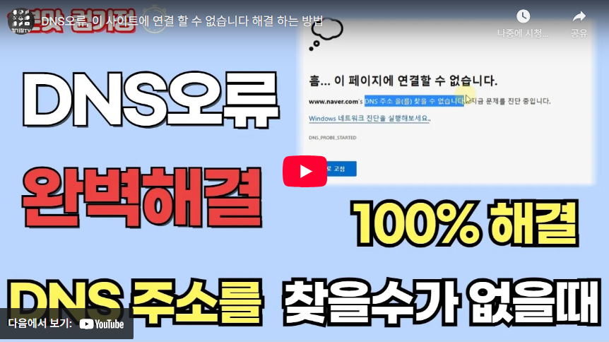 DNS 서버