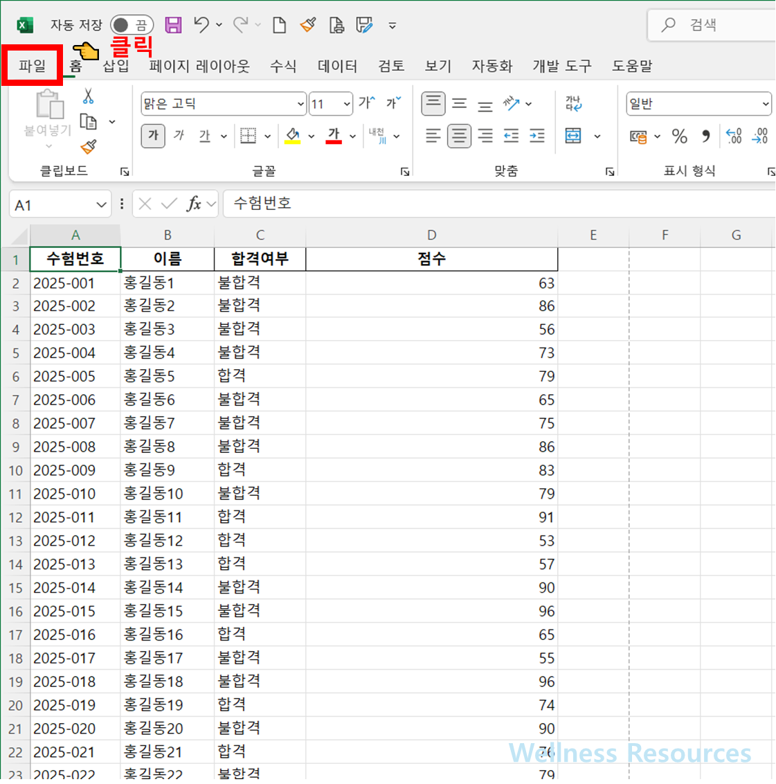 엑셀 PDF