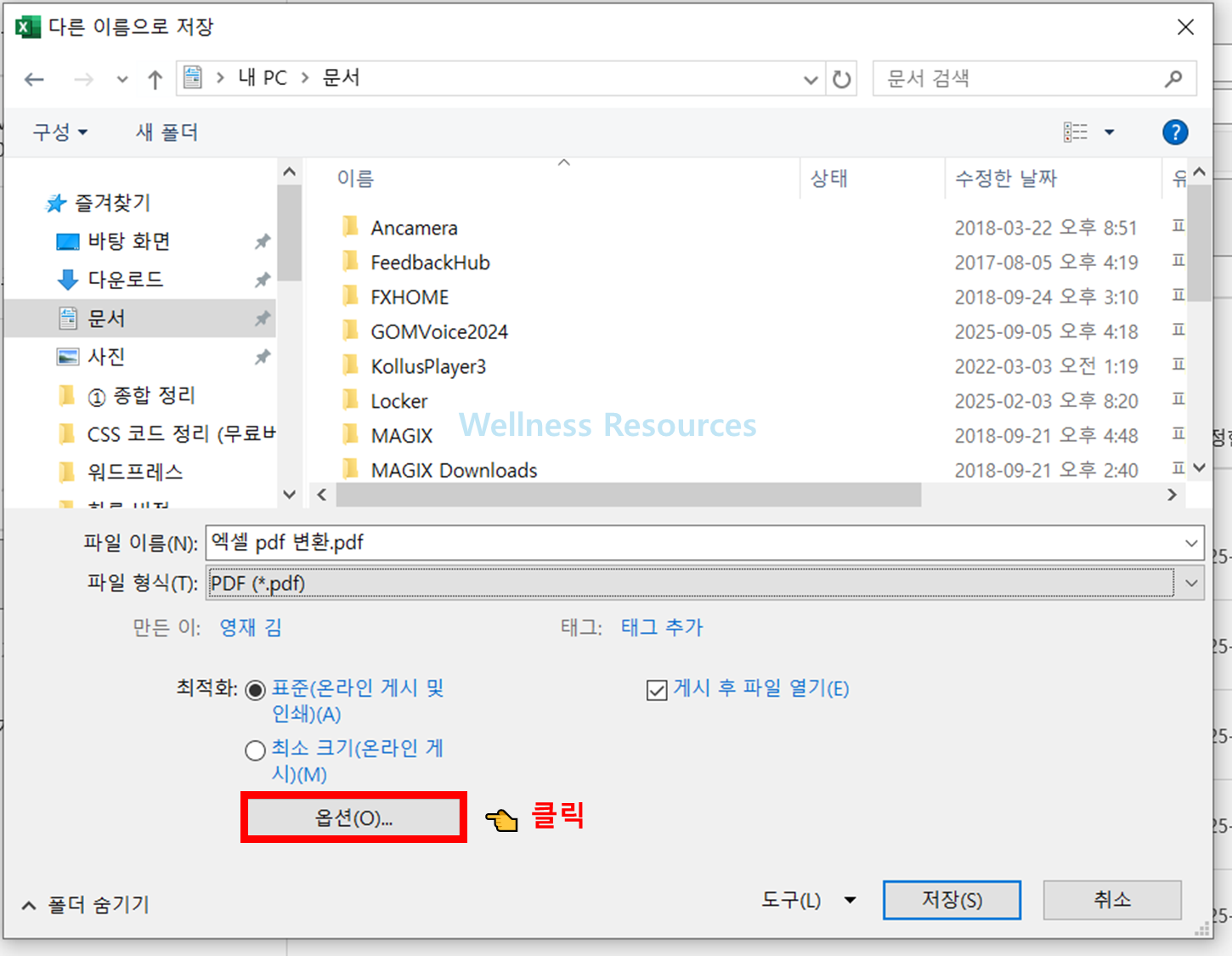 엑셀 PDF