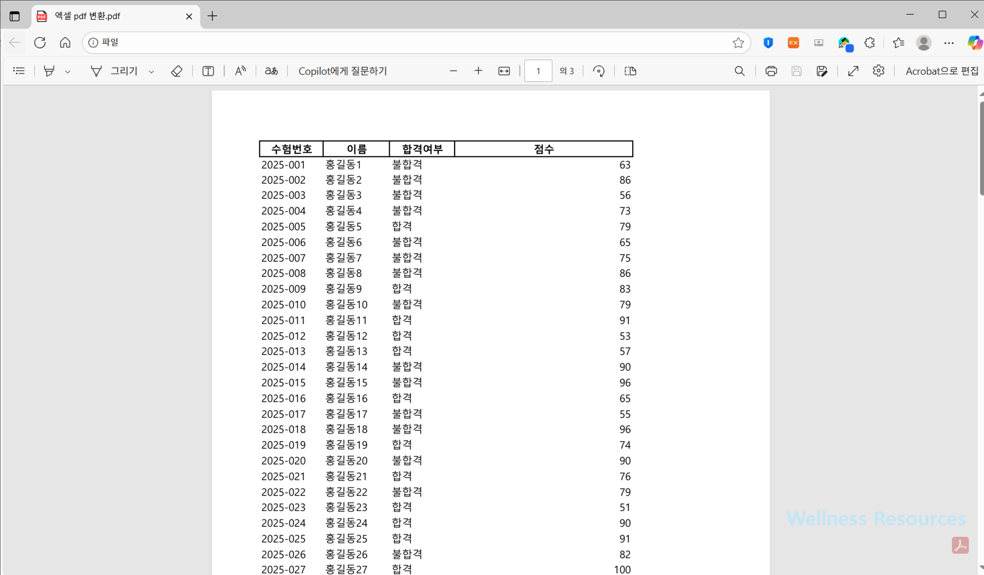 엑셀 PDF