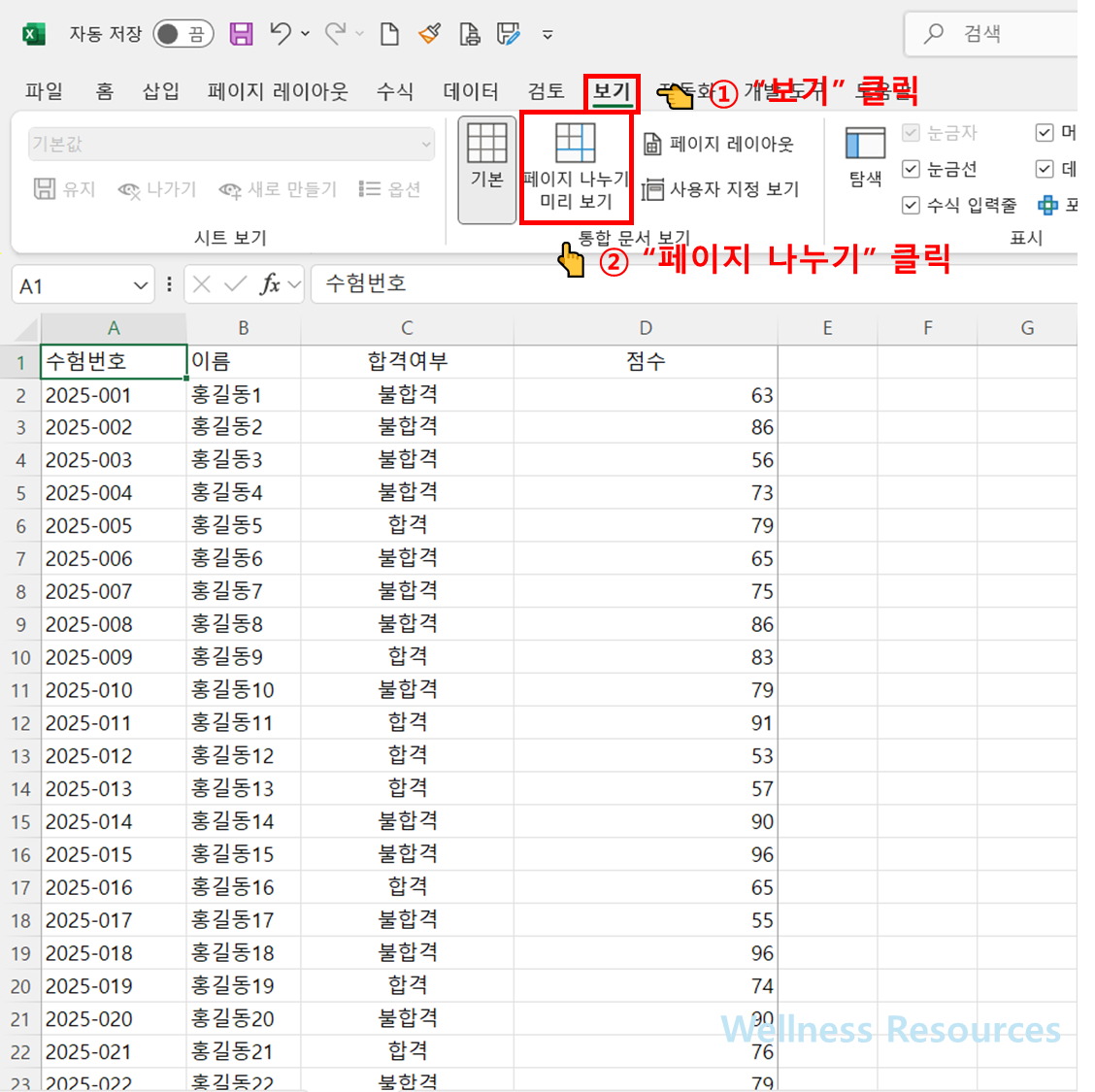 엑셀 PDF
