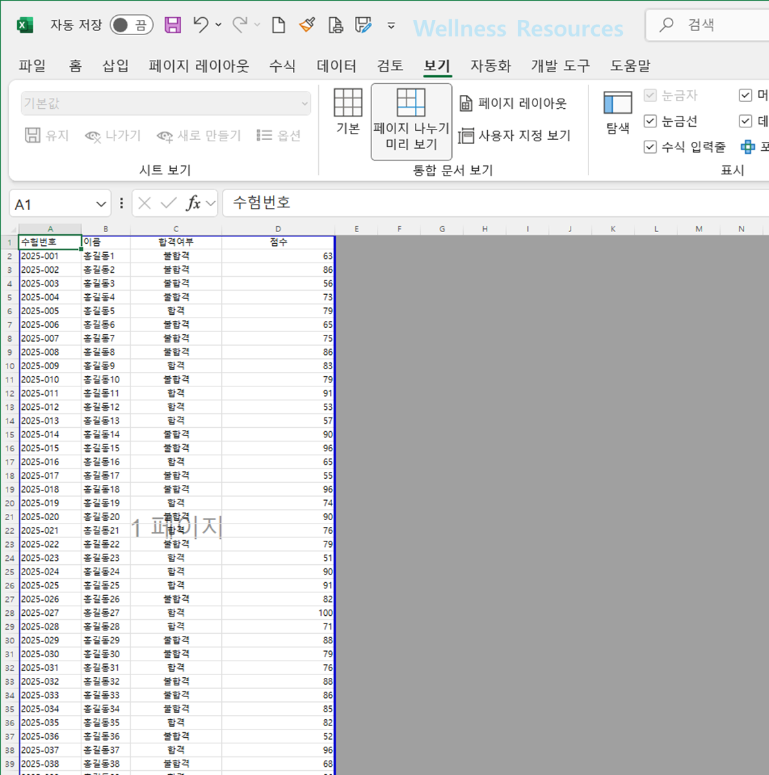 엑셀 PDF