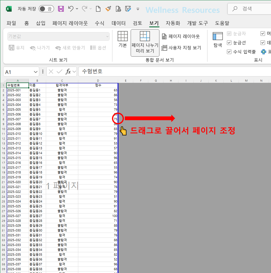 엑셀 PDF