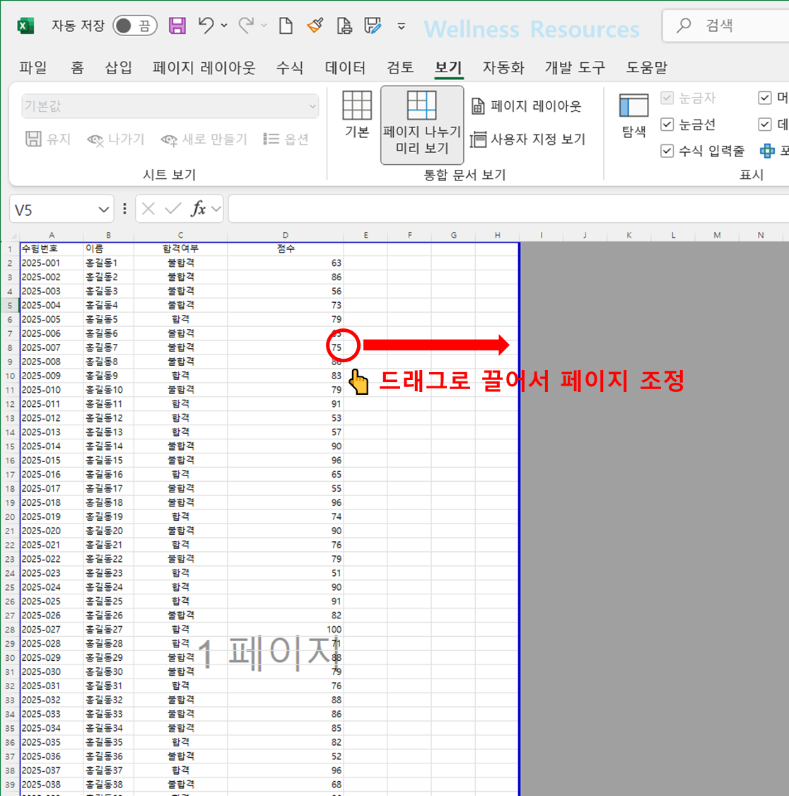 엑셀 PDF