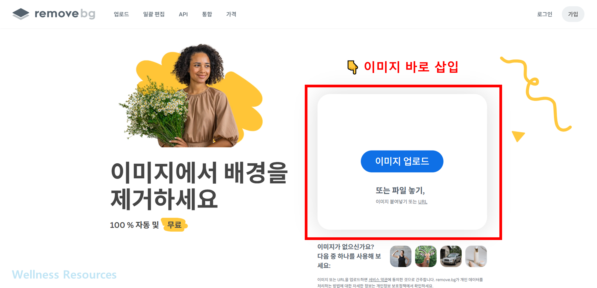 리무브 비지
Remove.bg