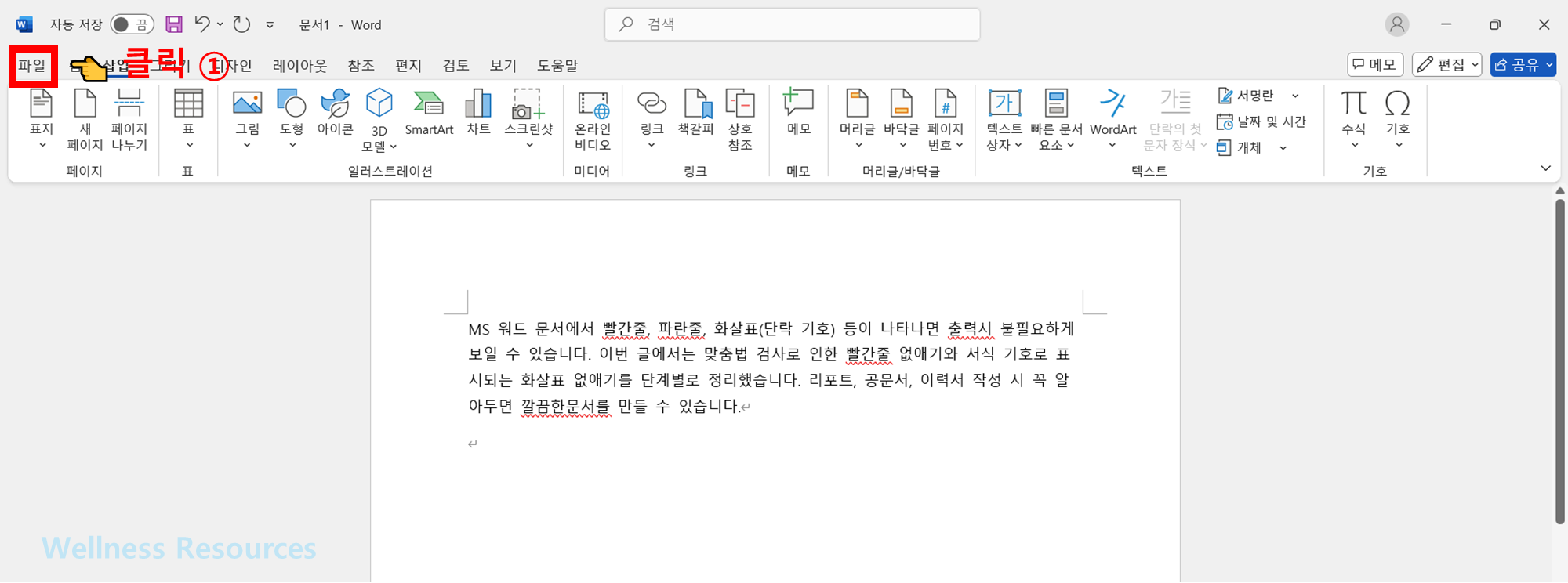 워드 빨간줄 없애기
워드 화살표 없애기