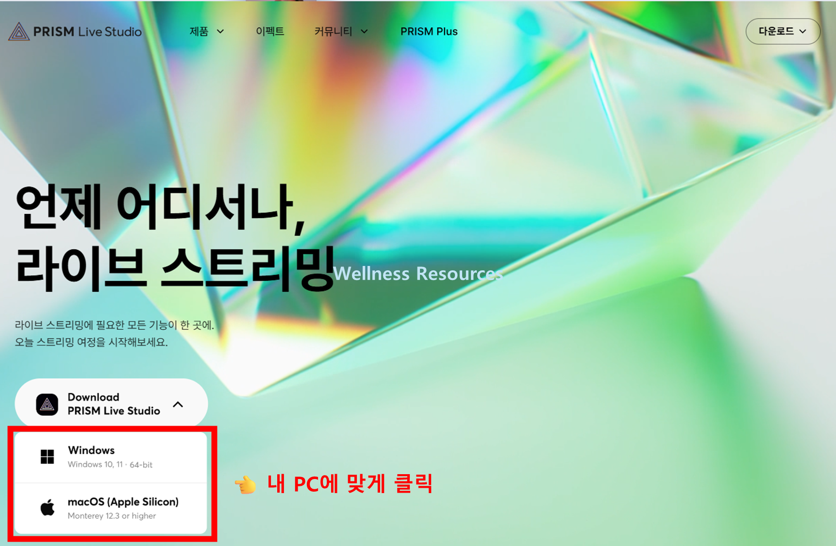 PRISM Live Studio
프리즘 라이브 스튜디오