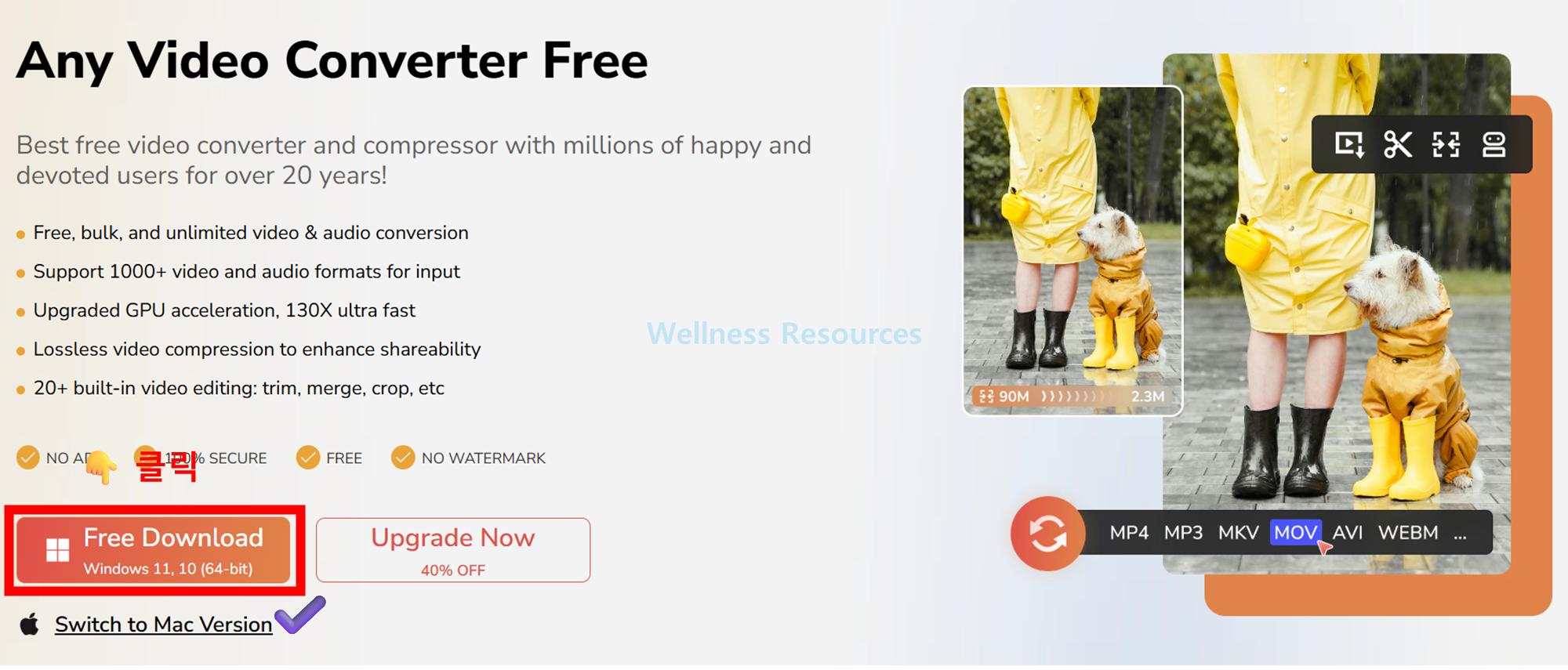 Any Video Converter Free
애니 비디오 컨버터 프리