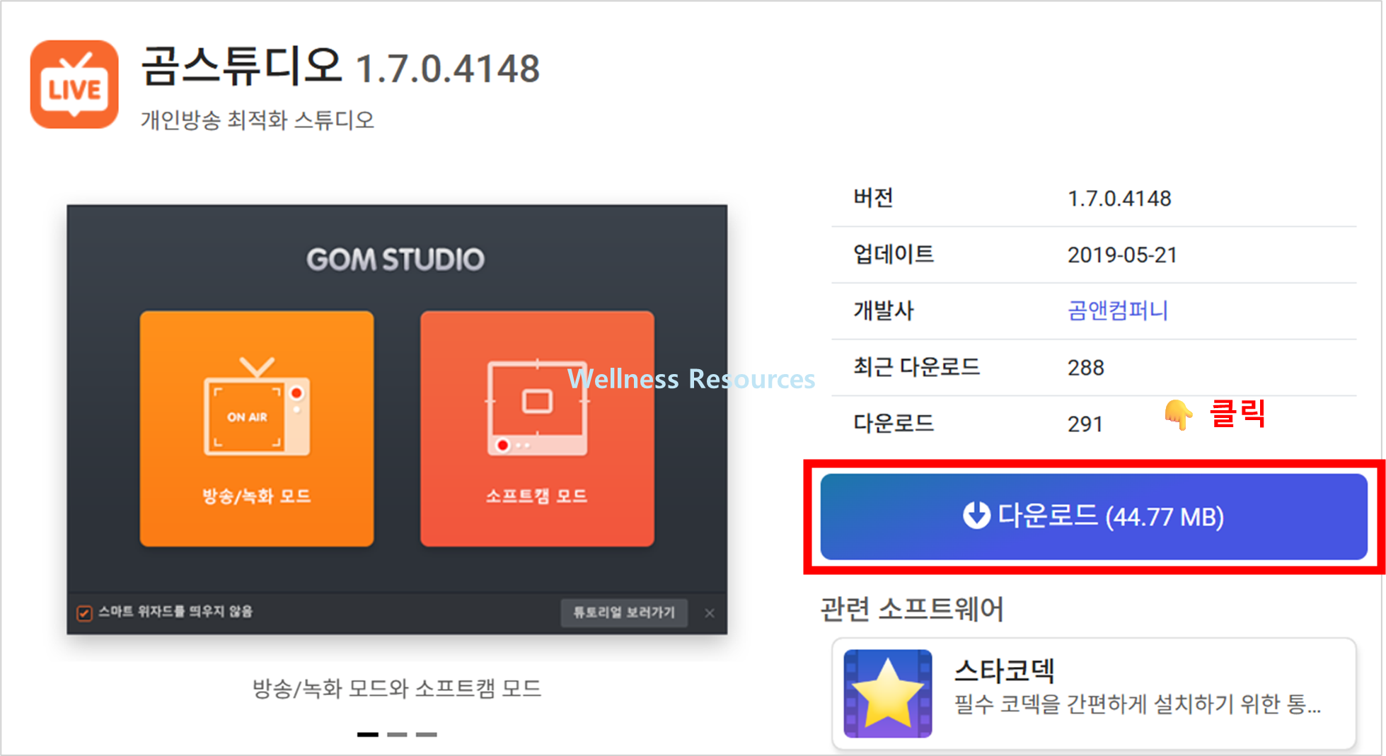 곰스튜디오