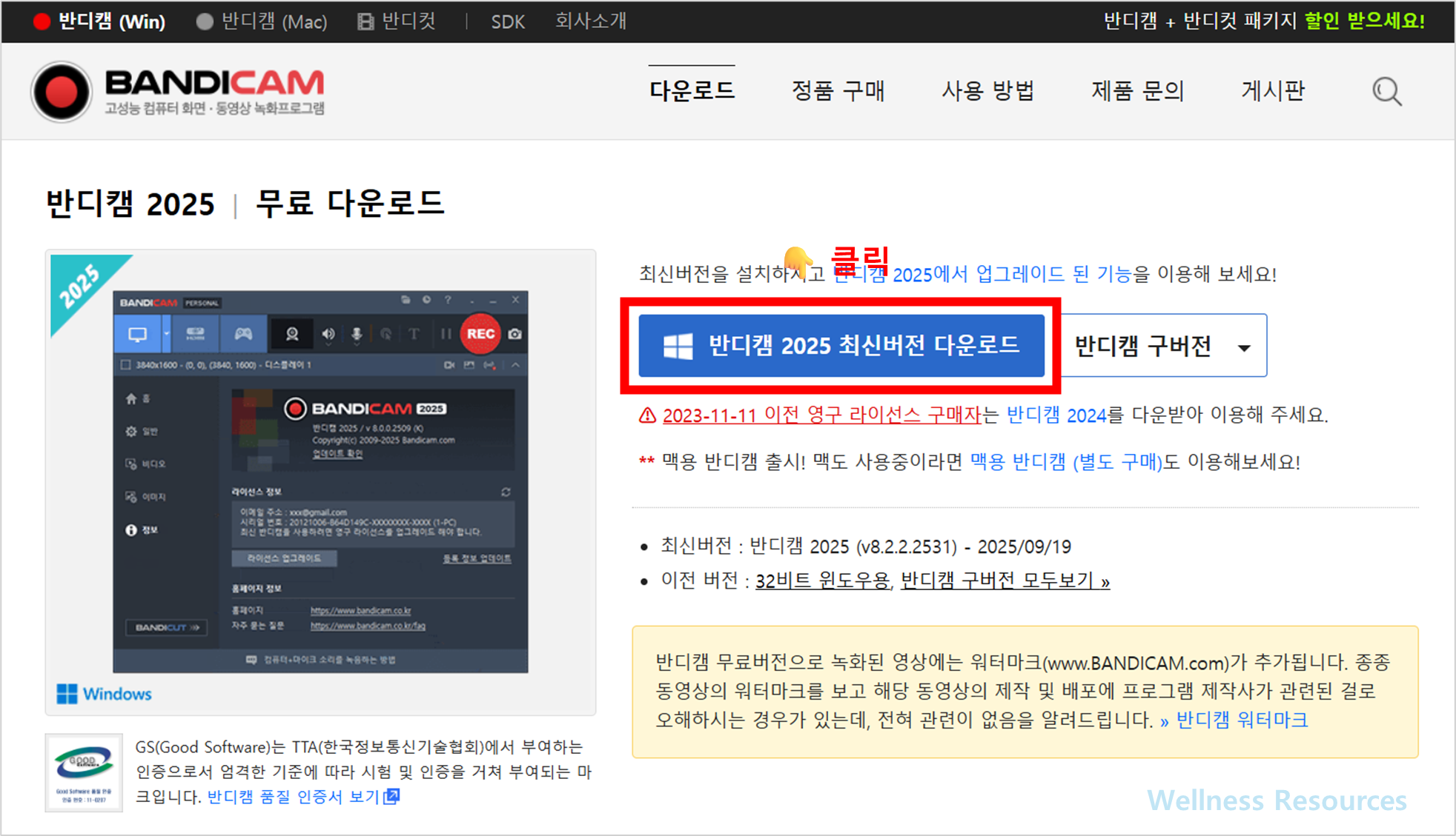 반디카메라
반디캠
Bandicam