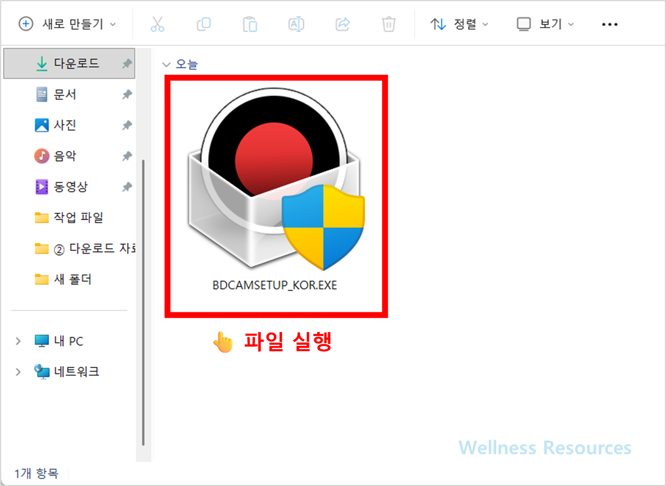 반디카메라
반디캠
Bandicam