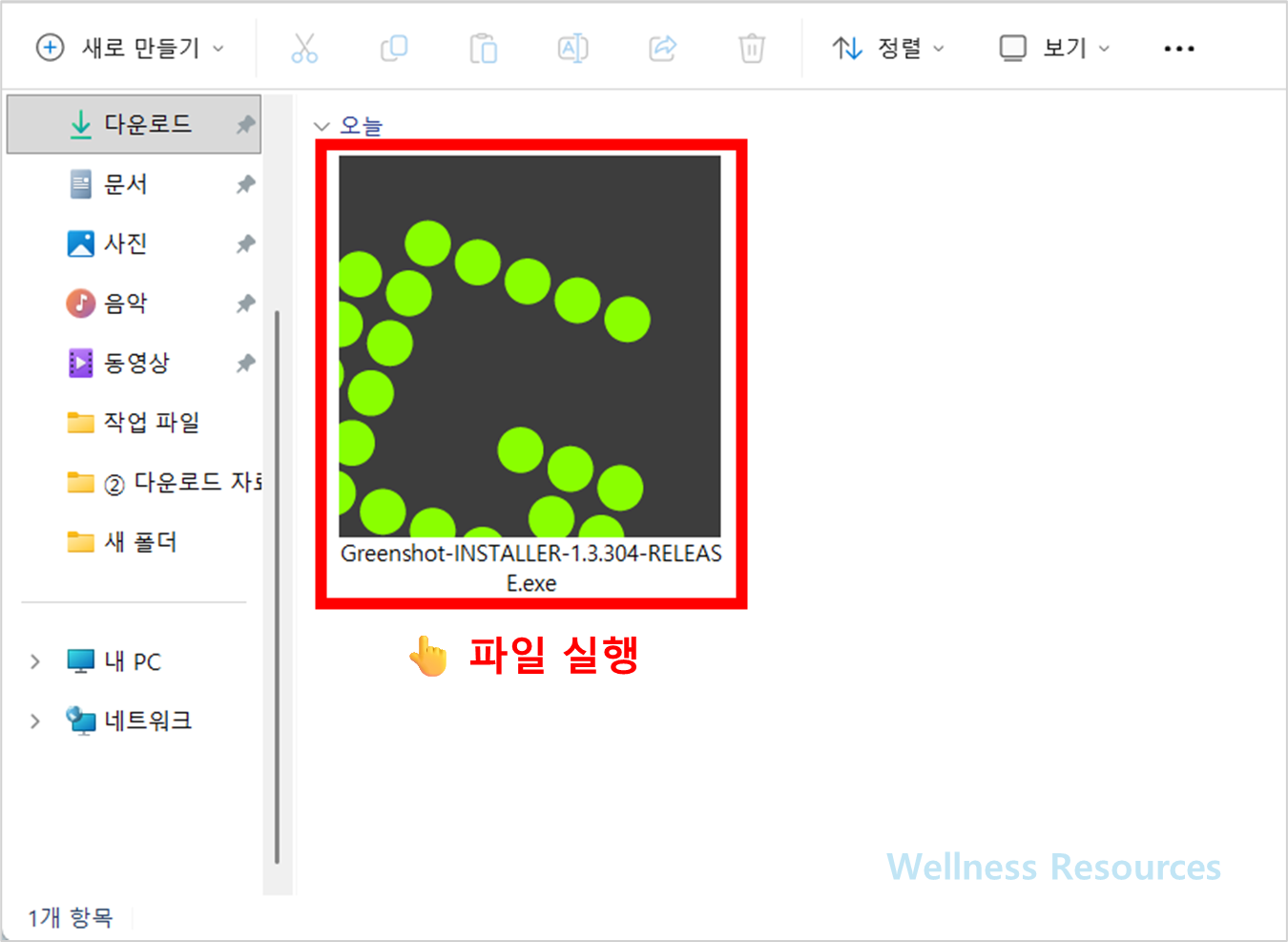 Greenshot
그린샷