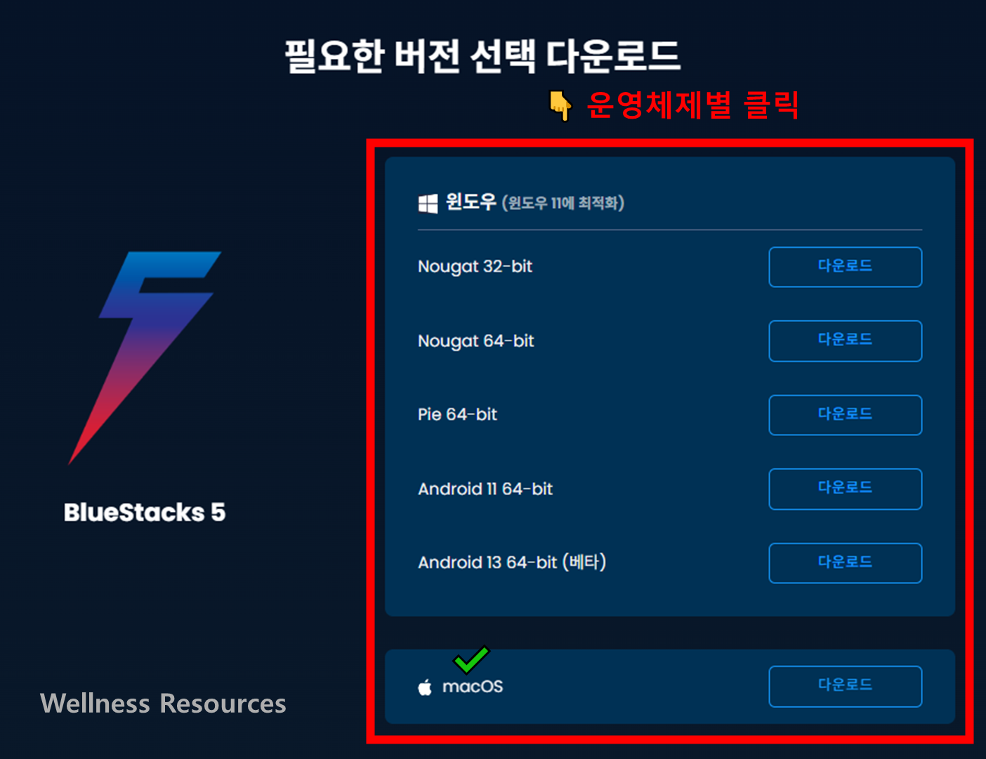 블루스택
