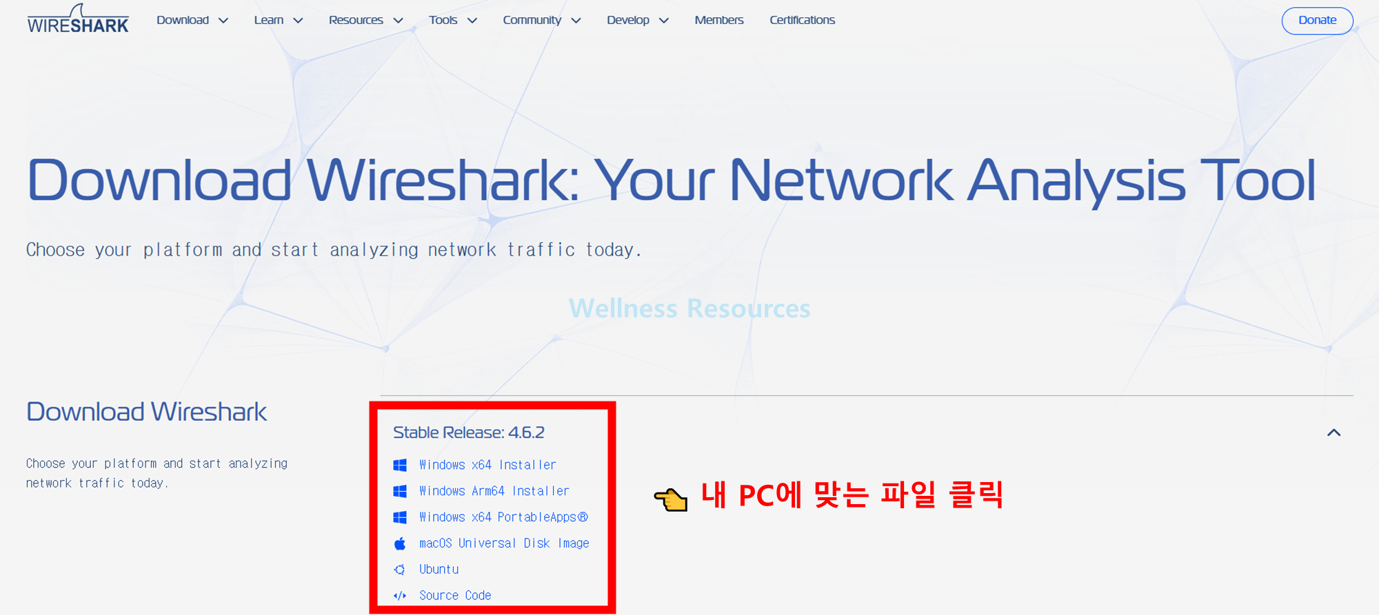 Wireshark
와이어샤크
