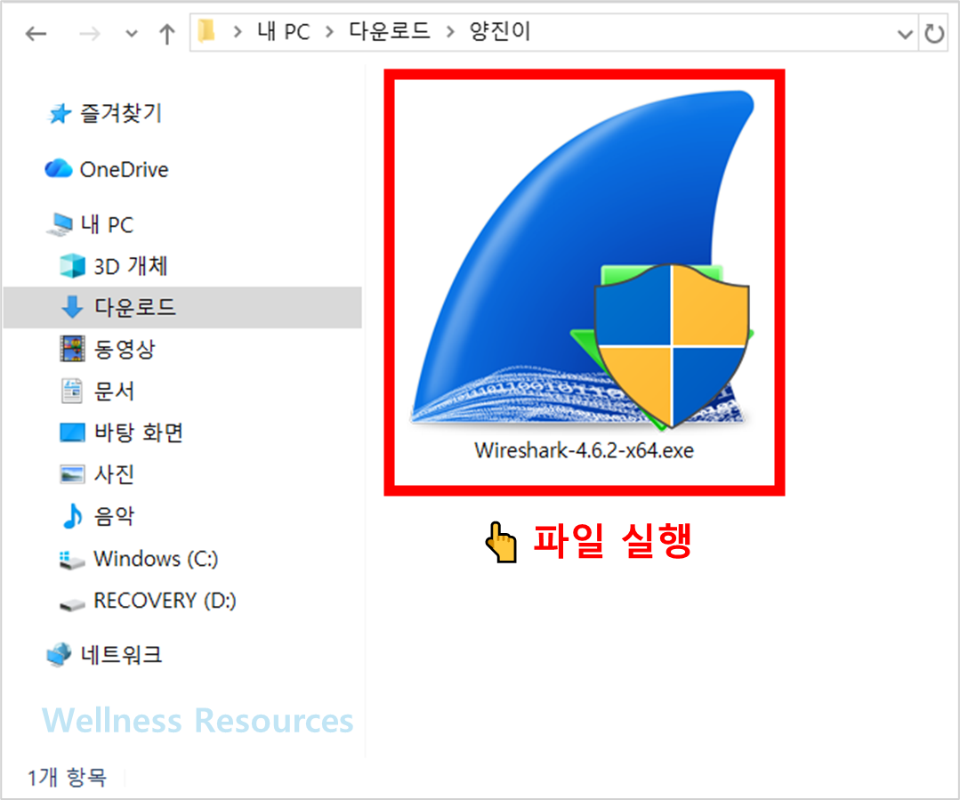 Wireshark
와이어샤크