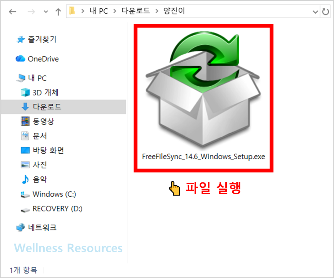 FreeFileSync
프리파일싱크