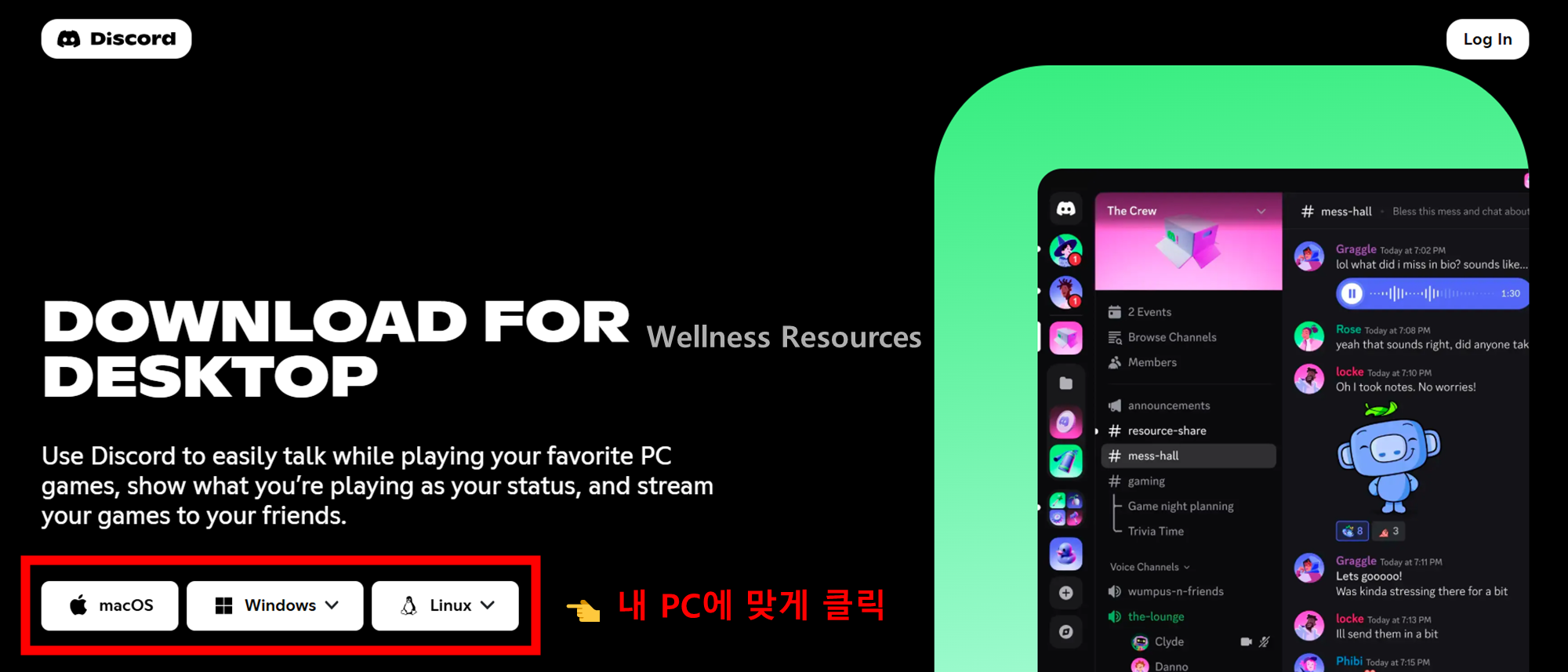 Discord
디스코드