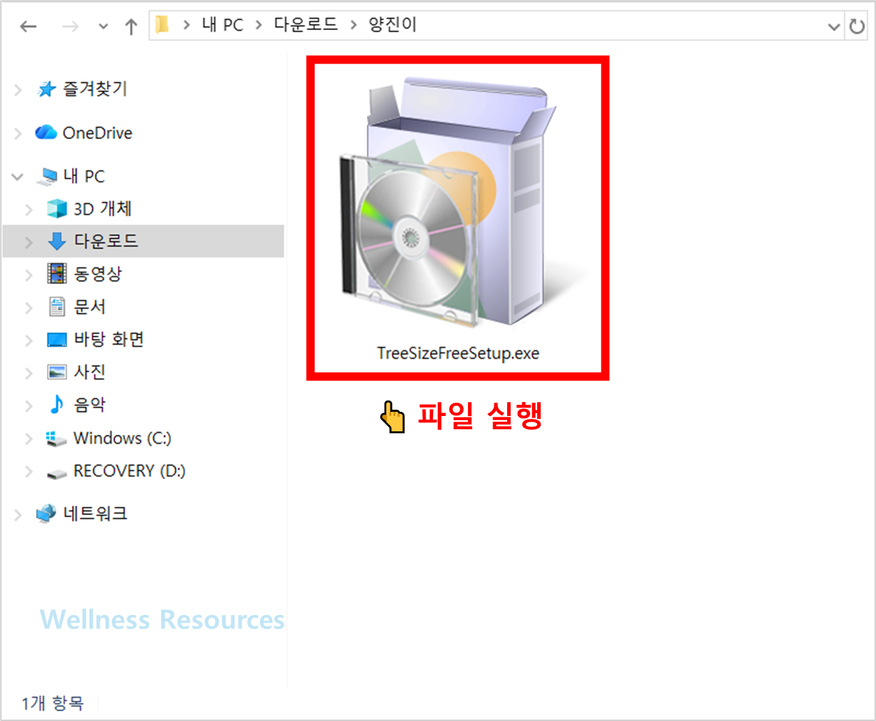 TreeSize Free
트리사이즈 프리