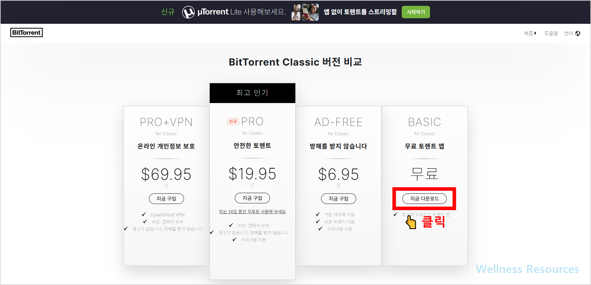 비트토렌트
BitTorrent