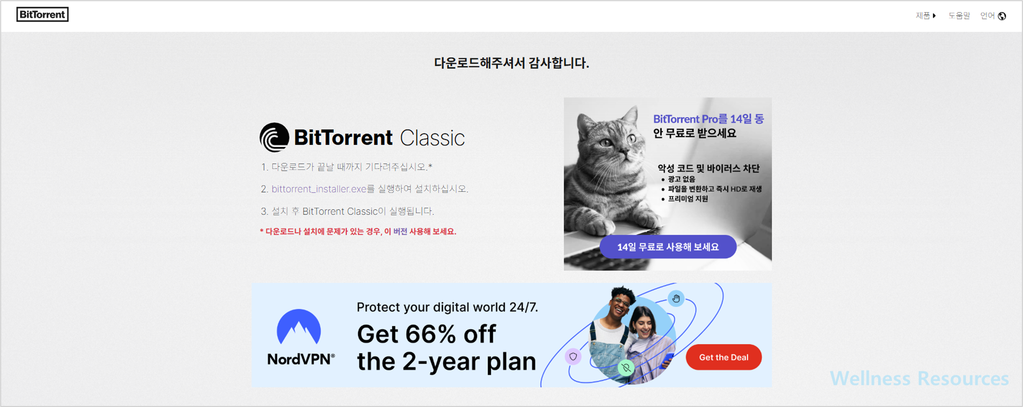 비트토렌트
BitTorrent