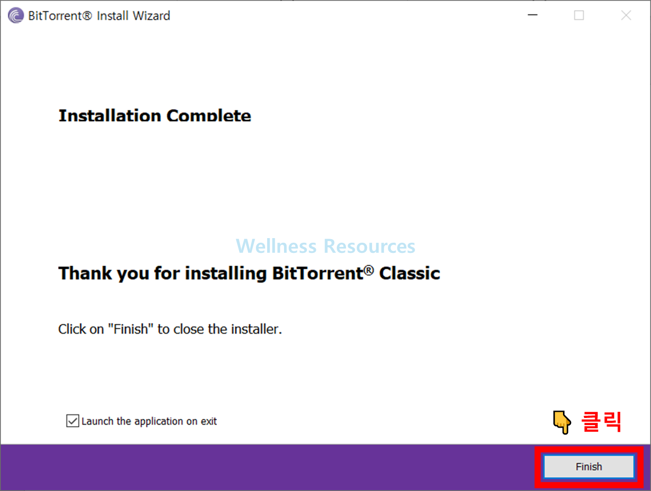 비트토렌트
BitTorrent