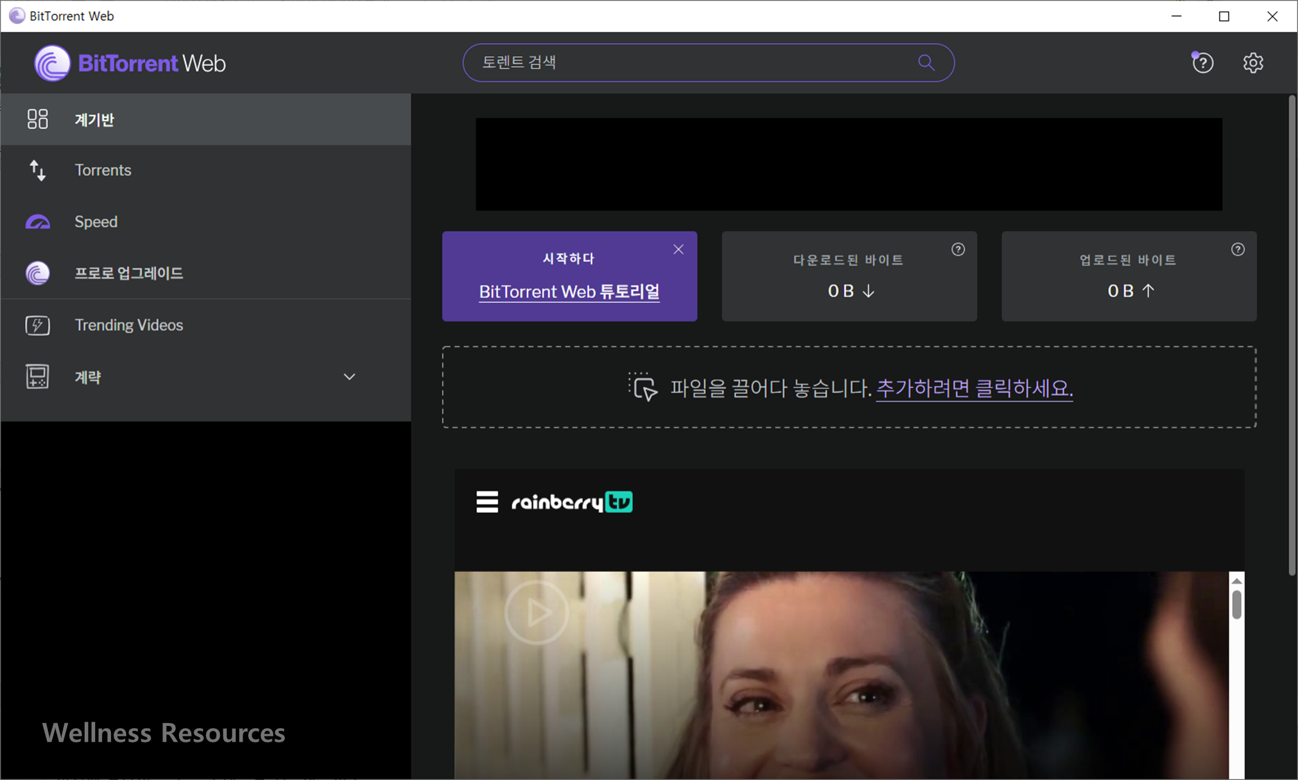 비트토렌트
BitTorrent