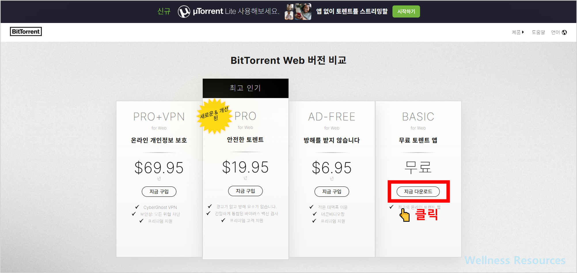 비트토렌트
BitTorrent
