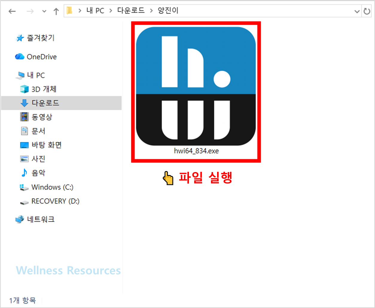 HWiNFO
하드웨어인포