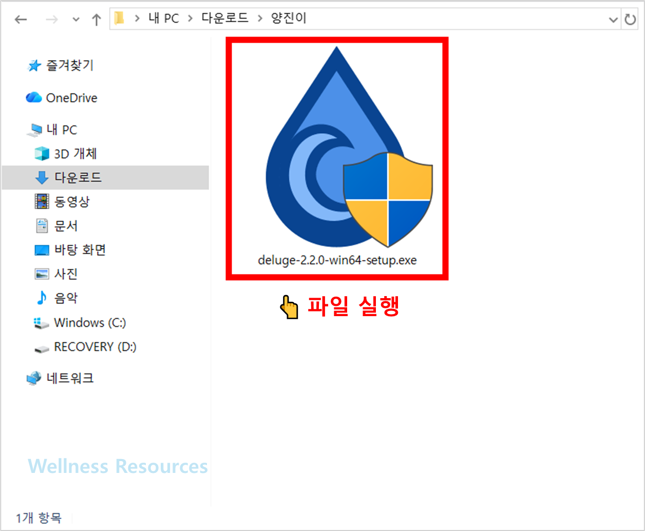 Deluge
델루즈