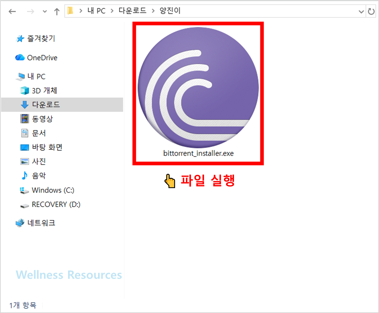 비트토렌트
BitTorrent