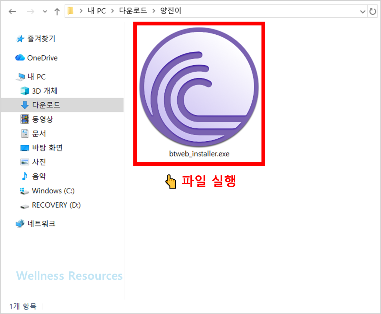 비트토렌트
BitTorrent