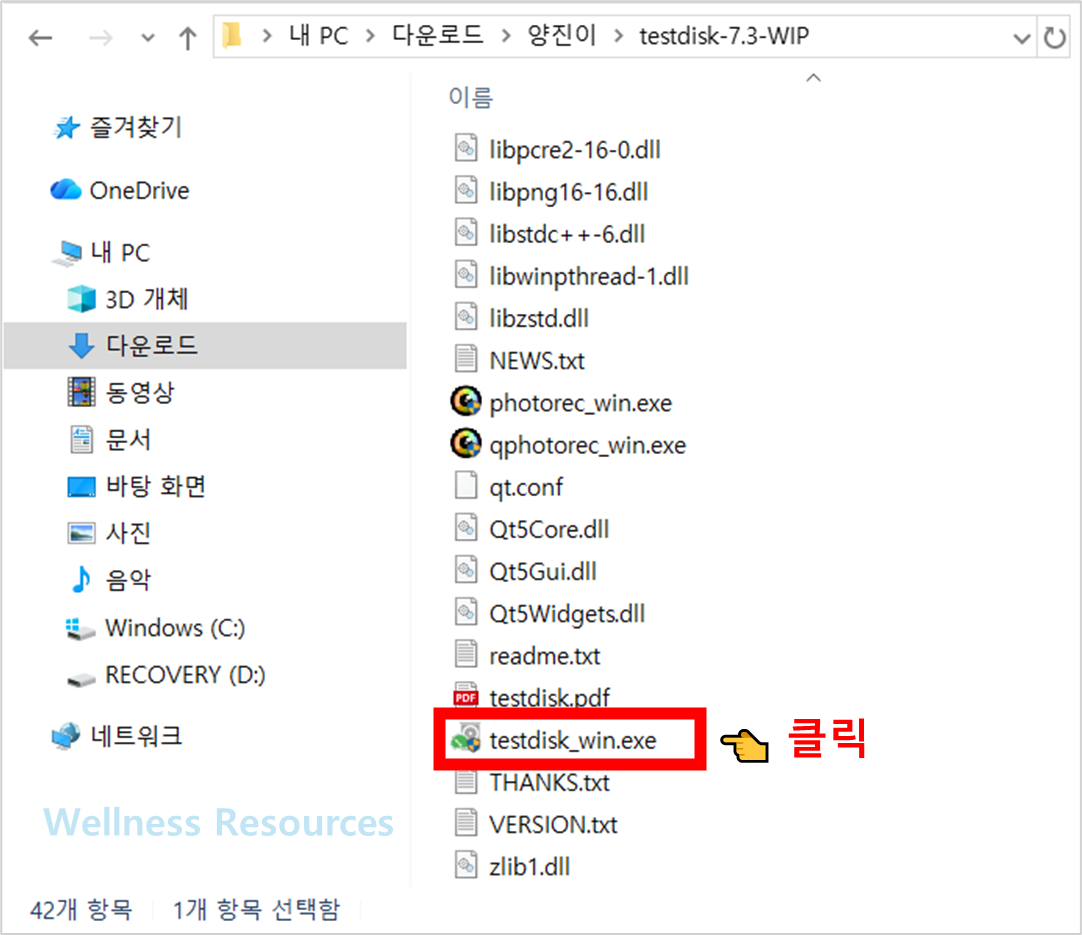 TestDisk
테스트디스크