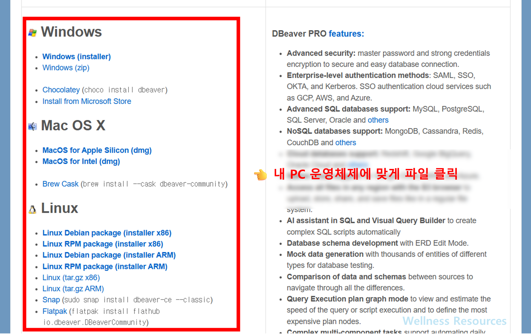 DBeaver Community
디비버커뮤니티