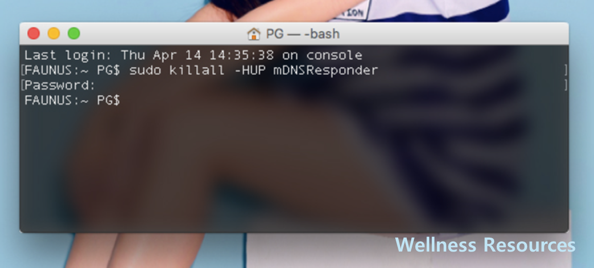 OSX DNS 캐시 삭제 재설정: 도메인 주소 정보 초기화 방법 정리 2 OSX DNS 캐시