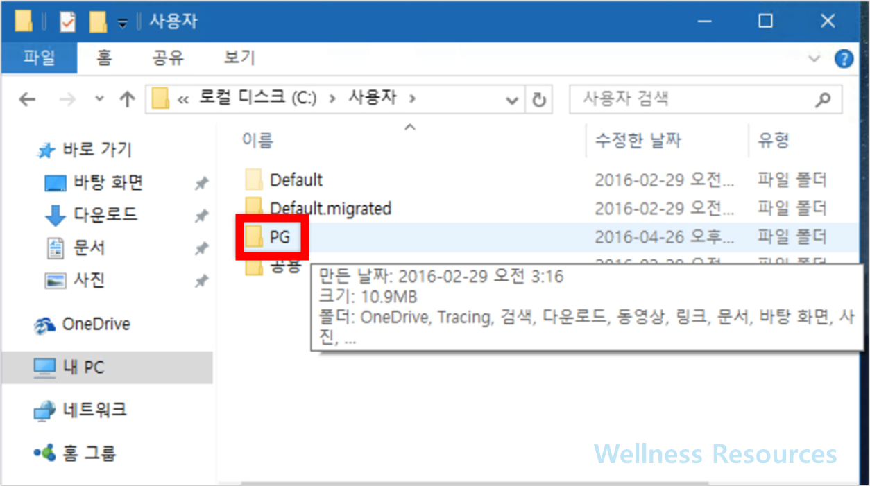 인터넷 익스플로러