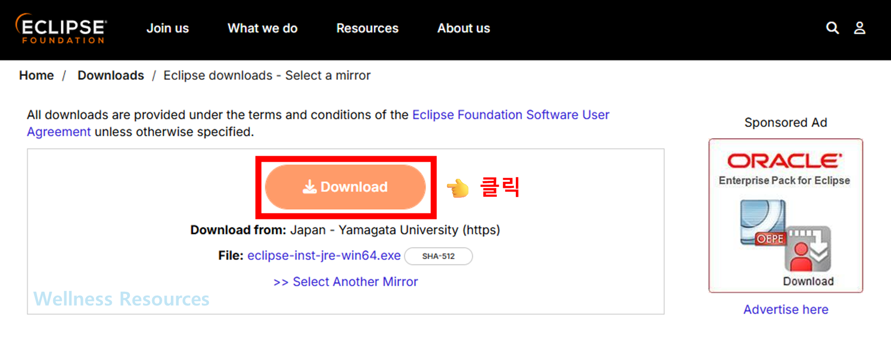 Eclipse IDE 이클립스 IDE 다운로드: 설치 방법 따라하기 (+ 이미지 설명) 3 Eclipse IDE
이클립스 IDE